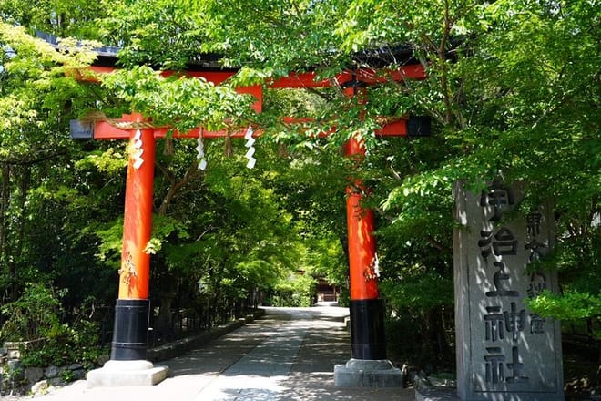 Kyoto Early Bird Tour in Uji and Fushimi Inari  10