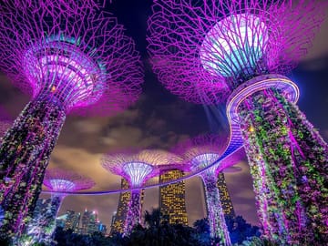 Singapore: 4 Hours - Private Car or Minibus Rental with Driver