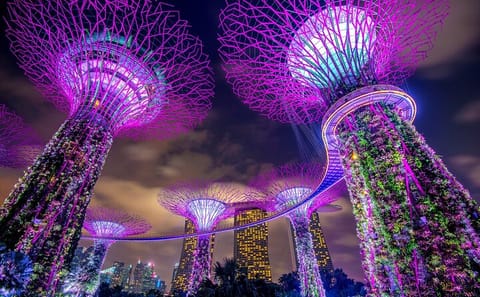 Private 4-Hour City Tour of Singapore by Car or Minibus