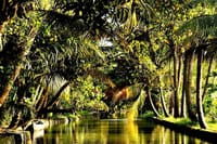 Kerala Backwaters - Chuttibaaz.com