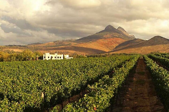 Cape Winelands Private Tour to Stellenbosch and Franschhoek