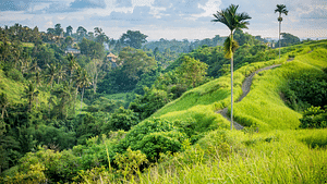 Eat Pray Love in Bali