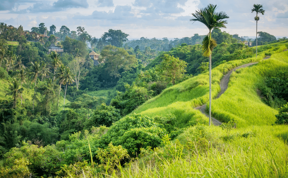 Wellness and Cultural Tour in Ubud, Bali