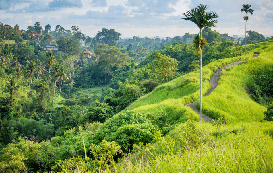 Wellness and Cultural Tour in Ubud, Bali