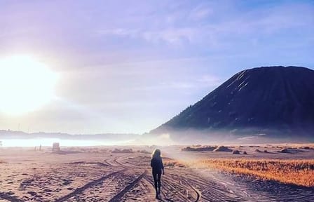 Jeep Tour of Mount Bromo at Plataran Bromo, Malang