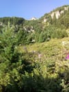 Private Trekking in Rila Mountains and Mt Mousala from Sofia 6