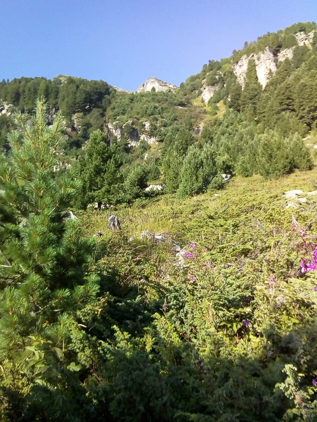 Private Trekking in Rila Mountains and Mt Mousala from Sofia 6