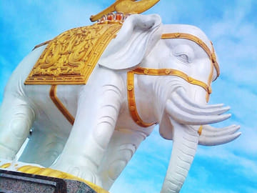 Mt Emei and temple stay experience 2 days tour