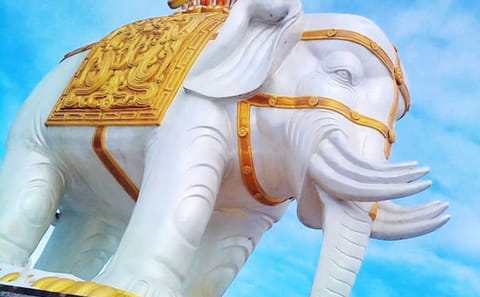 Mt Emei and temple stay experience 2 days tour