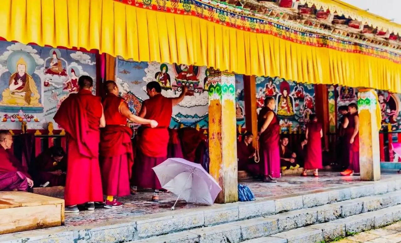 Songzanlin Monastery（monk）
