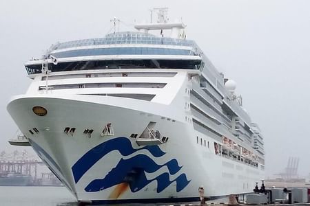 Ceylon Tea Experience Start from Colombo Port Passenger Terminal