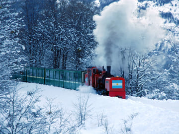 Tierra del Fuego National Park Tour in Ushuaia with Train Option