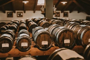 Modena: shared guided tour and tasting of superb Balsamic Vinegar + aperitif