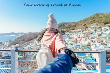 Small Group Busan City Tour with Hotel Pickup and Drop-off