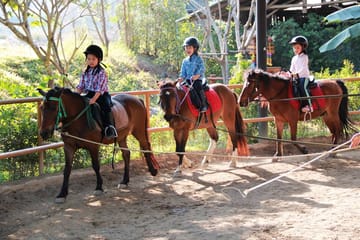 Horseback Riding Lesson and Visit to Doikham Temple, Chiang Mai