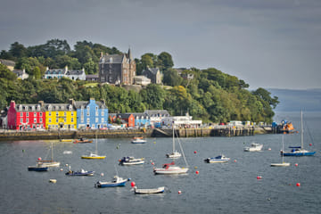 4-Day Puffin and Wildlife Tour from Edinburgh to Mull and Iona