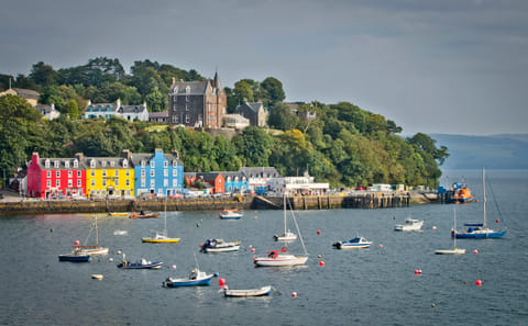 4-Day Puffin and Wildlife Tour from Edinburgh to Mull and Iona