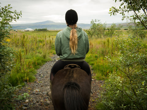 Hot Spring Valley Horse Riding Tour – Reykjadalur, photo 3