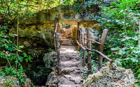 Jozani Forest, Kuza Cave and Blue Lagoon Tour