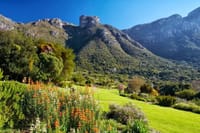 Kirstenbosch Garden, Bo-Kaap,Penguins & Cape of Good Hope Tour 7
