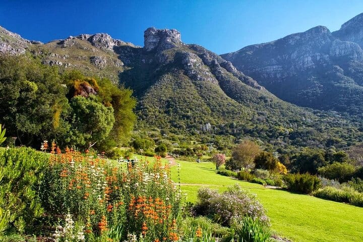 Kirstenbosch Garden, Bo-Kaap,Penguins & Cape of Good Hope Tour 7