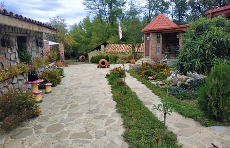 Kakheti Wine Tour with Tastings in Kvareli and Tbilisi