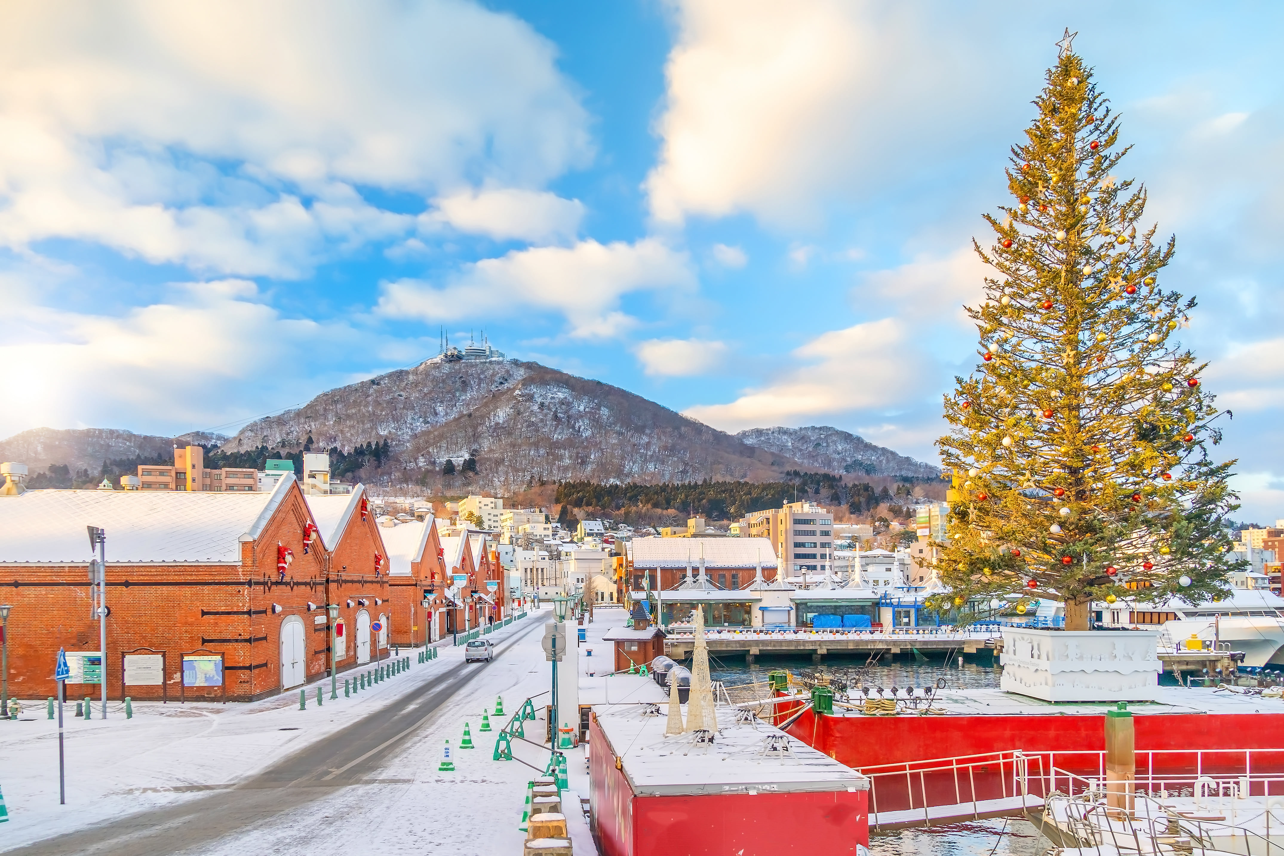 Hakodate Custom Day Tour