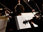 Musician reading Johann Strauss sheet music at live classical concert Vienna performance