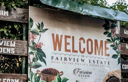 Guided Coffee Farm Tour at Fairview Estate in Kiambu