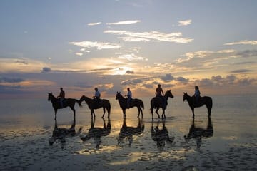 Private Horseback Riding Experience in Mount Lavinia