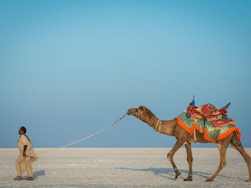 Cultural Tour from Bhuj to White Rann of Kutch