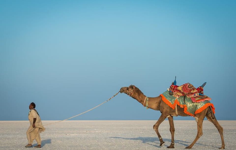 Cultural Tour from Bhuj to White Rann of Kutch