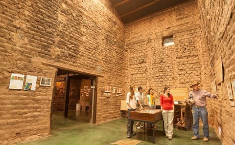 Tobacco Route Cultural Tour in La Viña from Salta