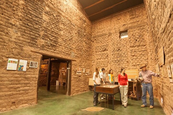 Tobacco Route Full Day Tour from Salta 3