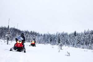 Snowmobile Safari to Reindeer and Husky Farm
