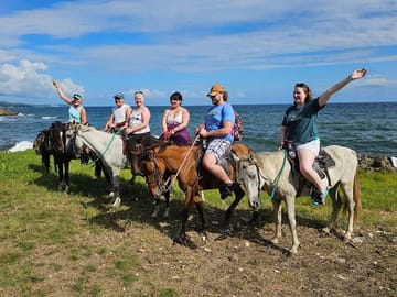 Mangrove Exploration, Horseback Riding, and Snorkeling in Roatan