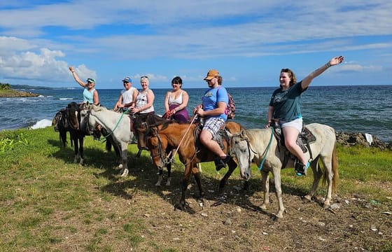 Mangrove tour,Horseback Riding, Snorkeling and beach in Roatan