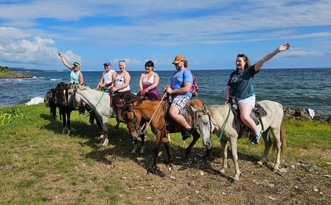 Mangrove Exploration, Horseback Riding, and Snorkeling in Roatan