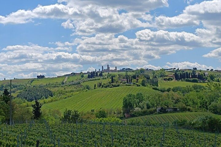 PRIVATE TOUR: Pisa & Siena in one day with Wine tasting & Lunch in Chianti