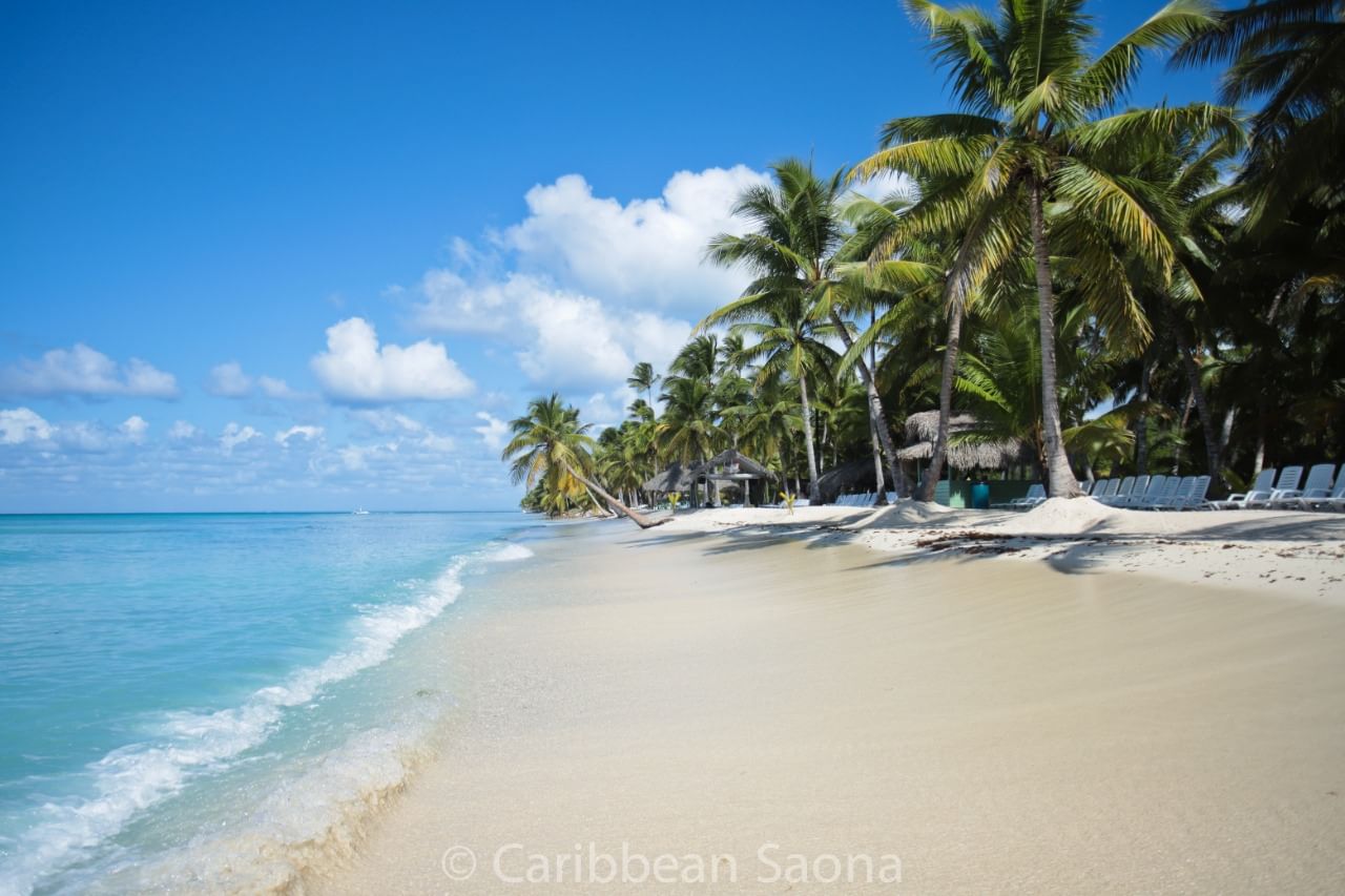 “Vista de la orilla con arena blanca y palmeras inclinándose sobre la playa, con el mar turquesa de fondo en Isla Saona.”