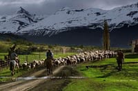 Pioneros Navigation and Trekking Tour from El Calafate