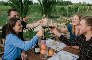 Boutique Organic Winery Visit & 6 Wine Tastings near Urbino