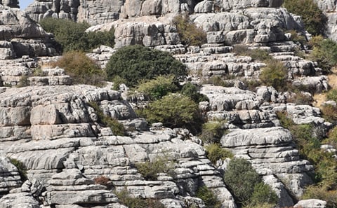 El Torcal de Antequera hiking private day trip. From Malaga