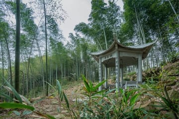 Hiking Tour Along the Tofu Ancient Road from Shanghai to Hangzhou