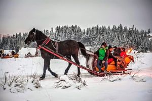 Tatra Mountain Sleigh Ride in Zakopane from Kraków