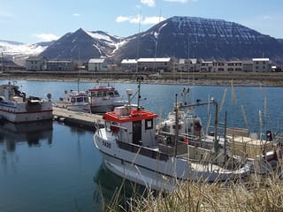 2 Hour Sightseeing Adventure, photo 6