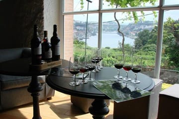 Porto City Tour Full Day Winery visit w/ Tastings and Cruise