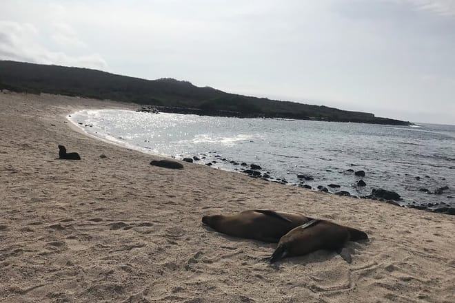 Resting Beaches