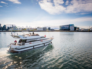 2.5-3 Hour Private Whale Watching on a yacht in Reykjavík, photo 11