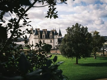 Exclusive 3-Hour Walking Tour of Amboise and Château Royal
